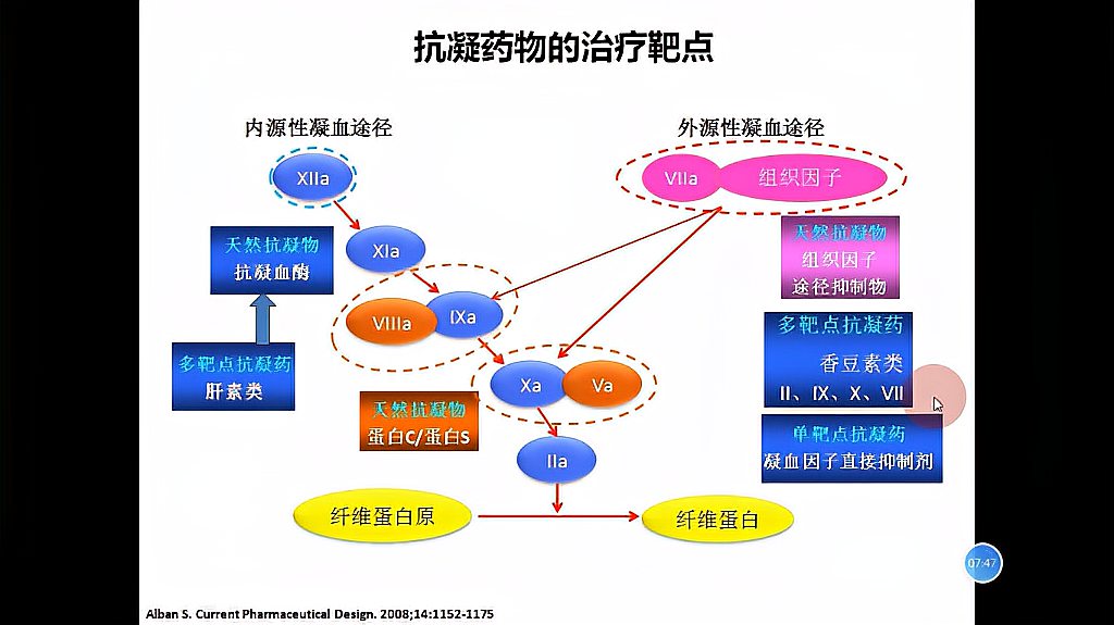 [图]郭治彬教授讲课视频:从药理学角度看新型口服抗凝药物的选择