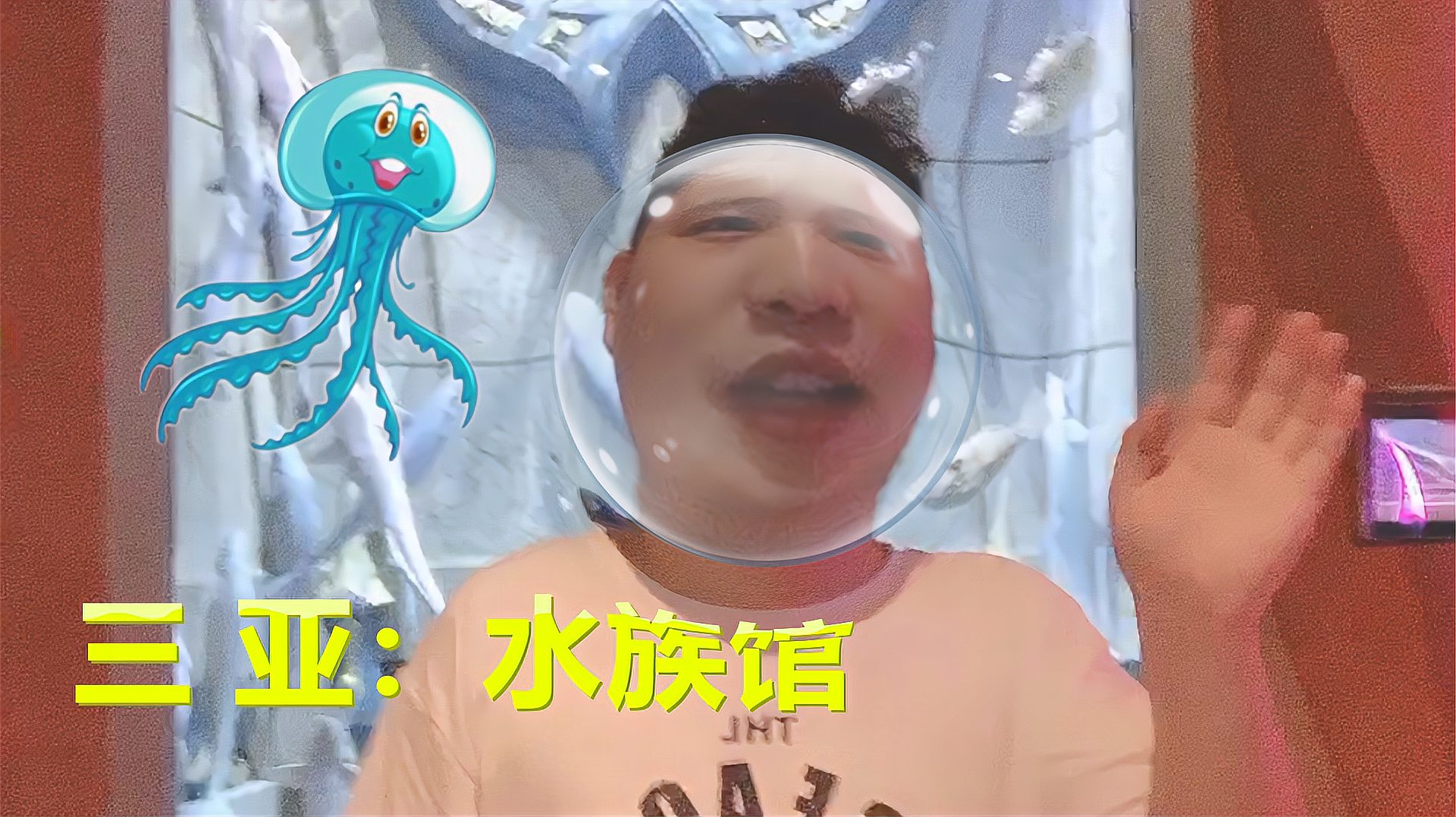 [图]入梦vlog：三亚超大的水族馆，里面的鱼都是入梦没见过的