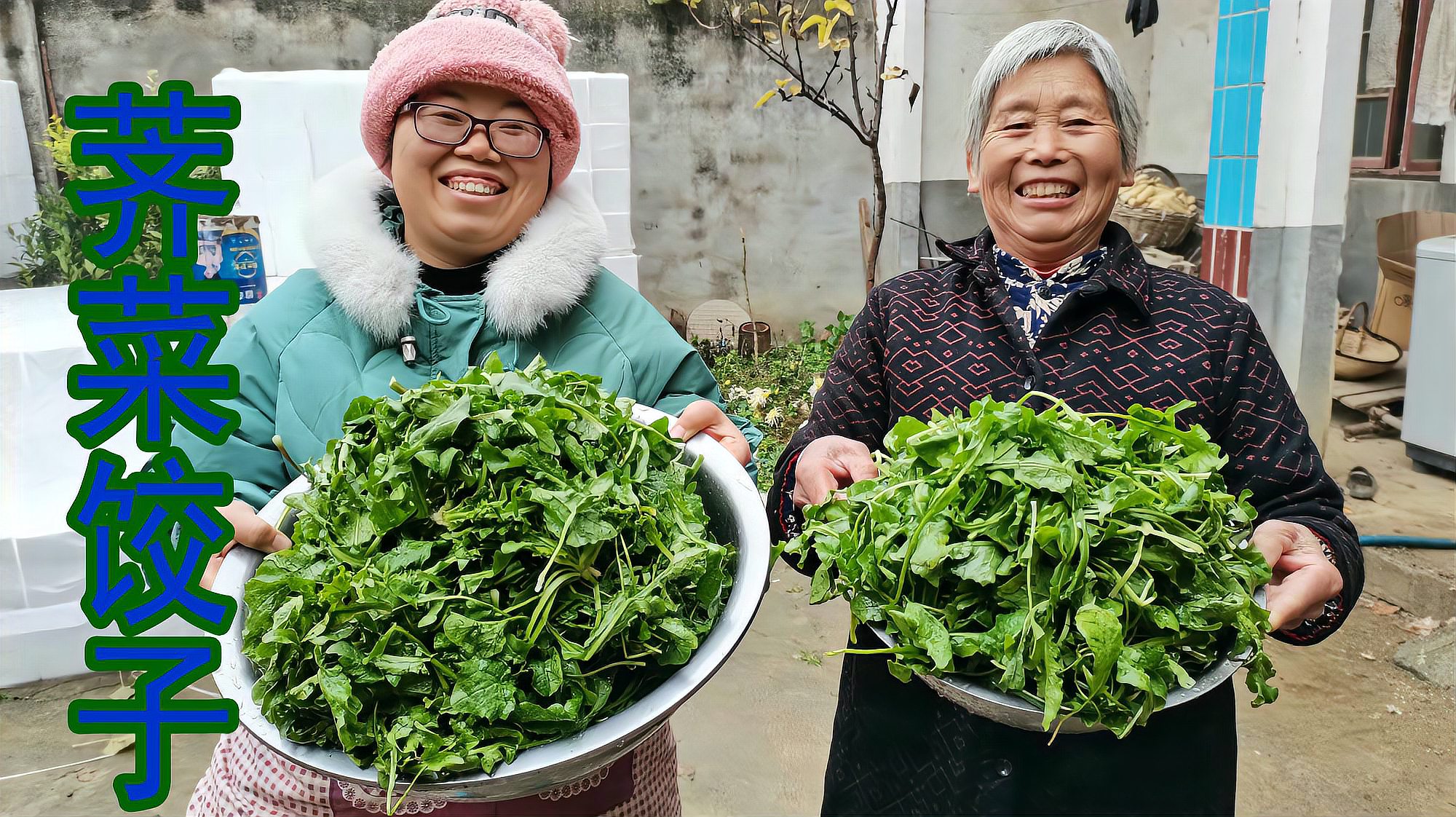 [图]农村妈妈眼睛好了,媳妇包荠菜饺子来吃,全家人都吃撑了