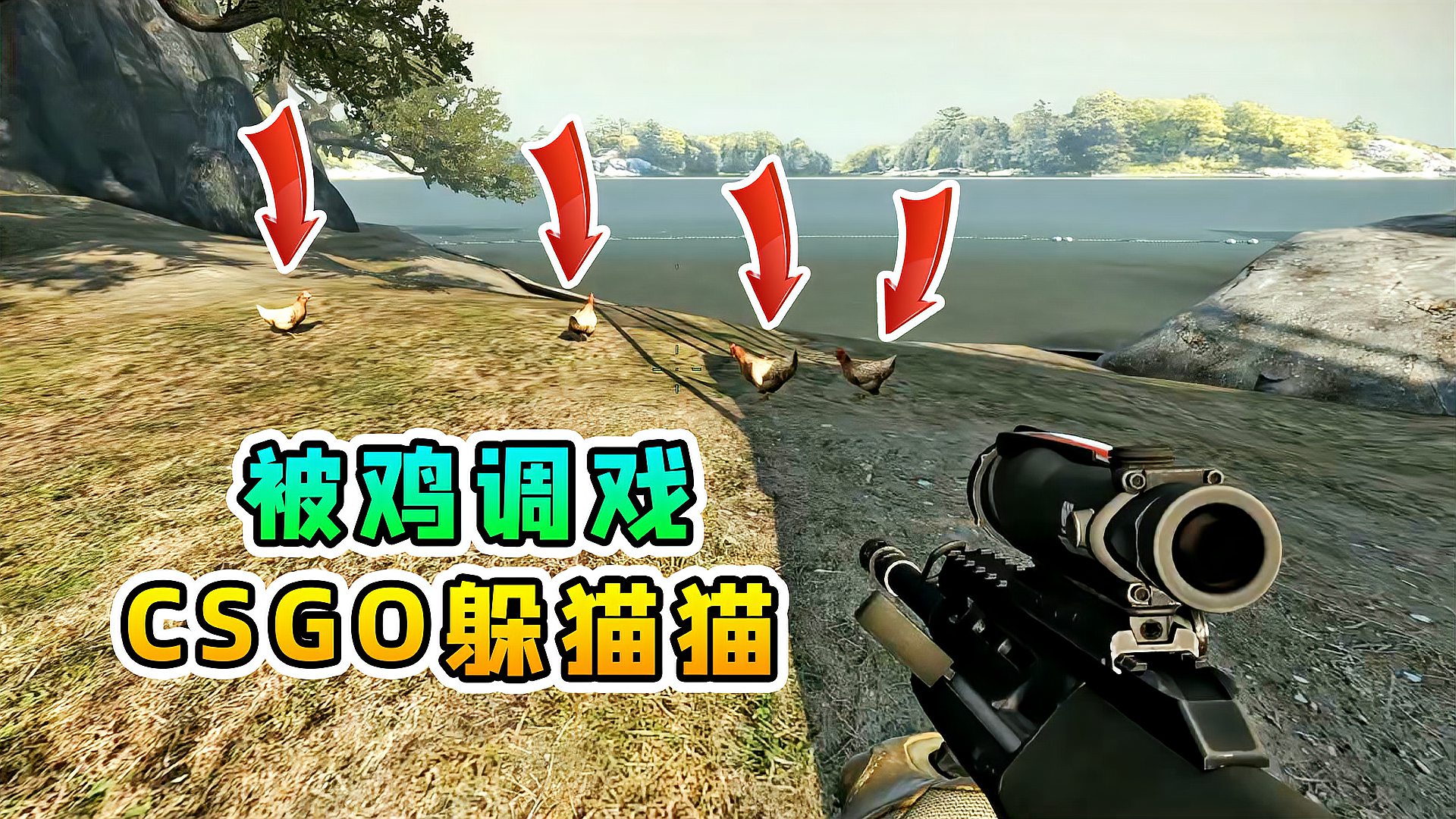 [图]CSGO躲猫猫：这么多鸡，肯定有假的吧？太欢乐了