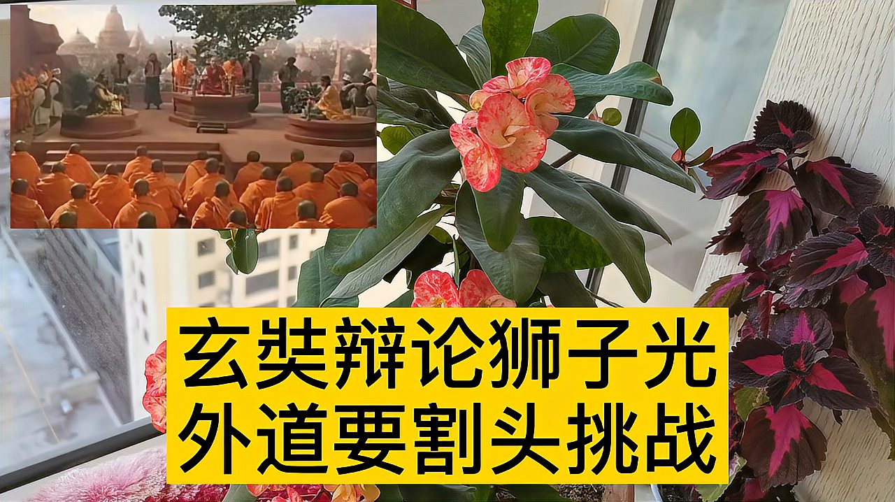 [图]神话讲真实唐僧二十集,玄奘与狮子光辩论,外道用生命打赌挑战