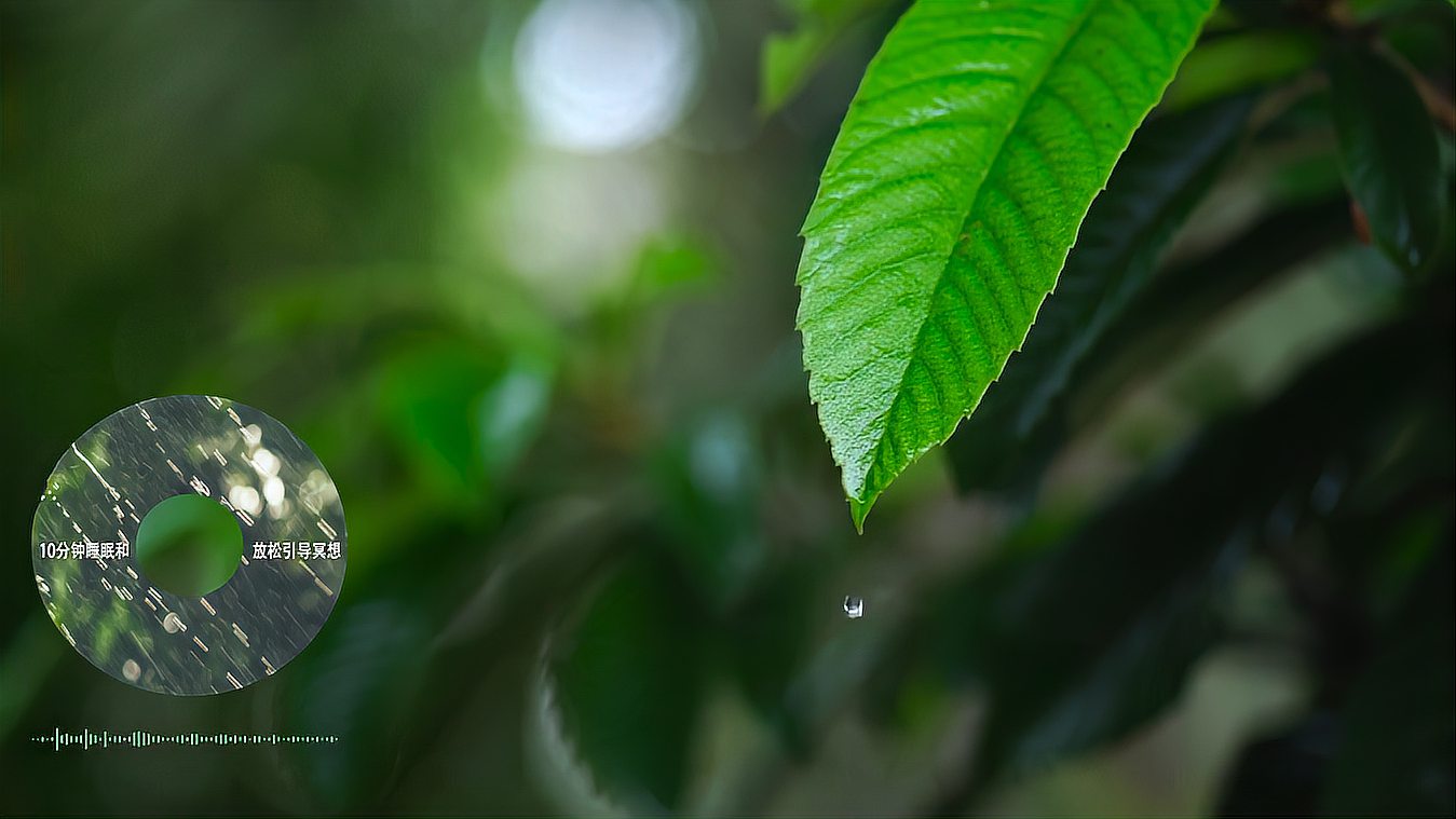 [图]伴随舒缓的雨声快速入睡，10分钟睡眠和放松引导冥想