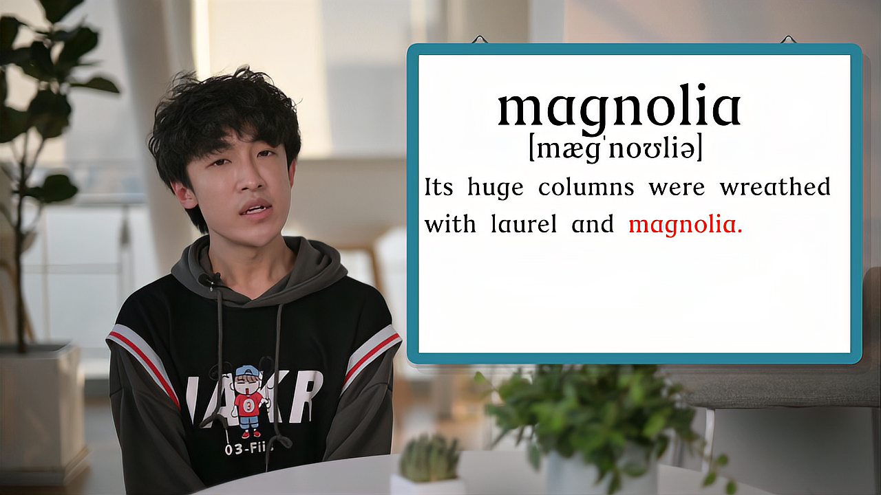 [图]英文单词详解:Magnolia