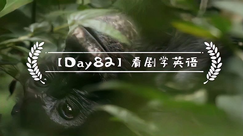 [图]「Day82」看剧学英语