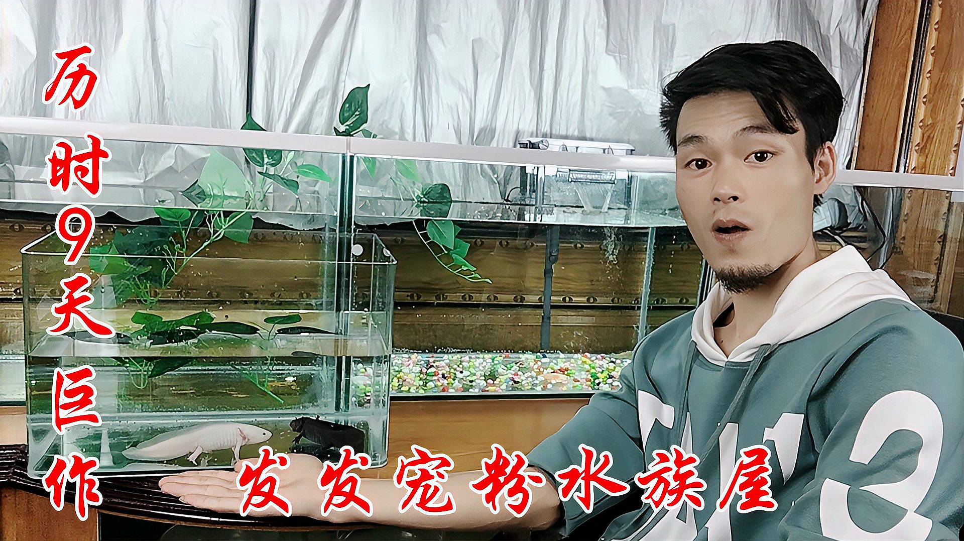 [图]历时9天打造的水族馆，先给恐龙鱼搬家，食人鱼和鳄鱼在哪？