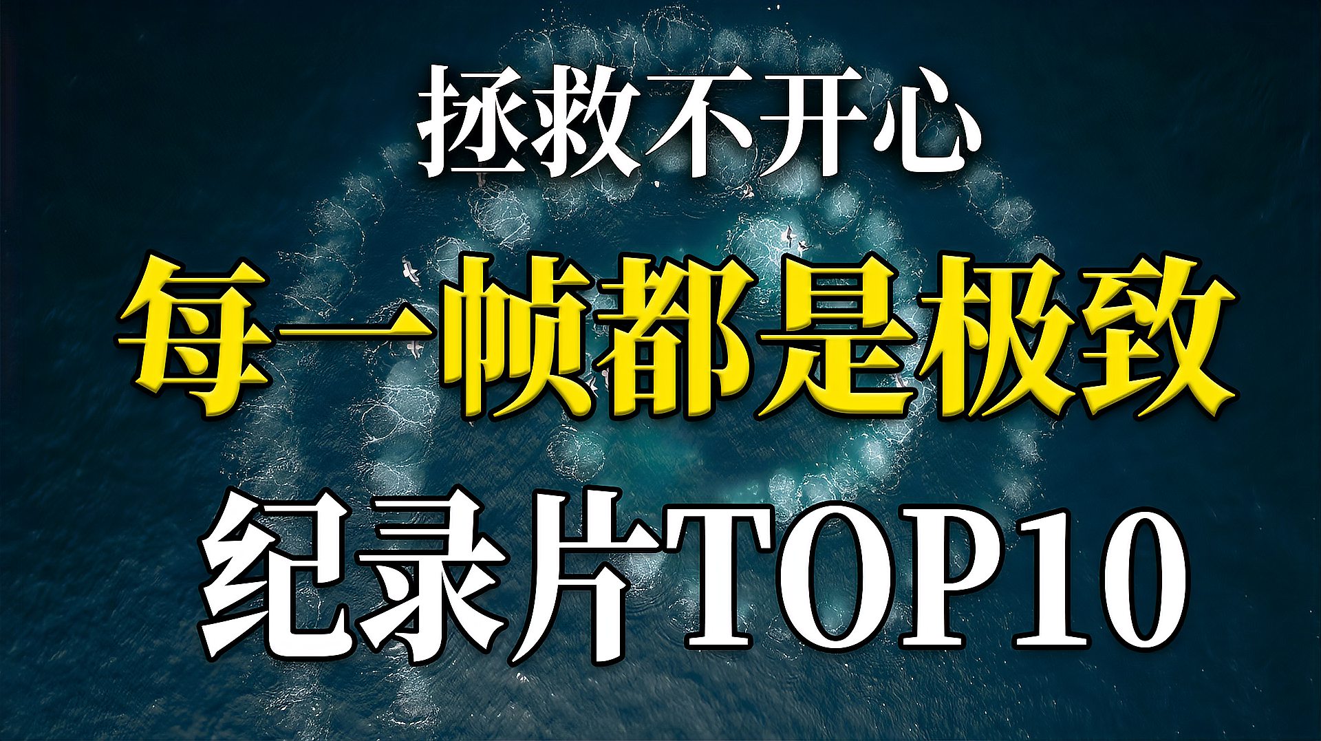 [图]每一帧画面都是人间极致！治愈系纪录片TOP10 纪录片能拯救不开心