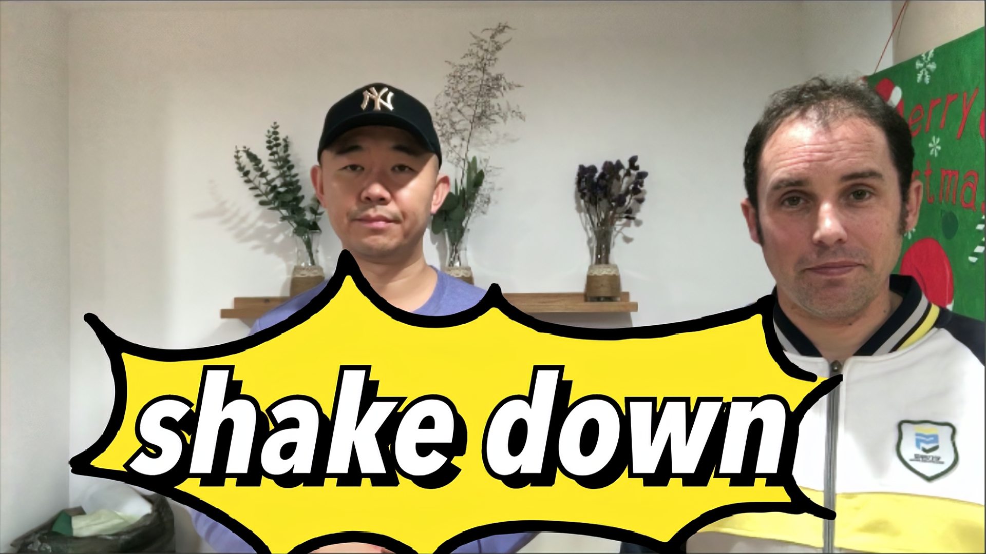 [图]英语单词shake down讲解