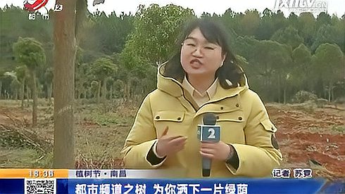 [图]【植树节】南昌:都市频道之树 为你洒下一片绿荫