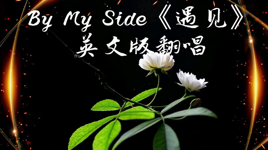 [图]英文版翻唱《By My Side》