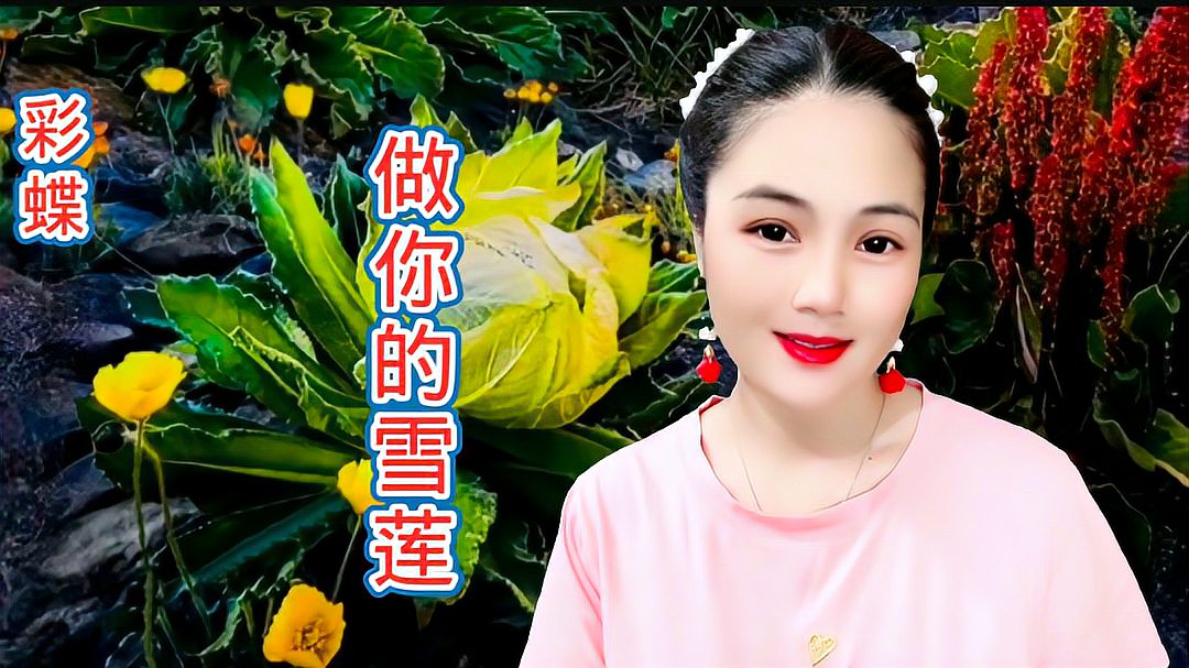 [图]一首《做你的雪莲》歌声清脆悦耳,听得心情太好了