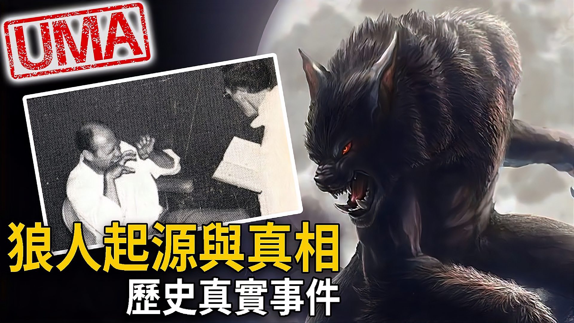 [图]「UMA档案」狼人起源与真相，历史上狼人事件！Werewolf