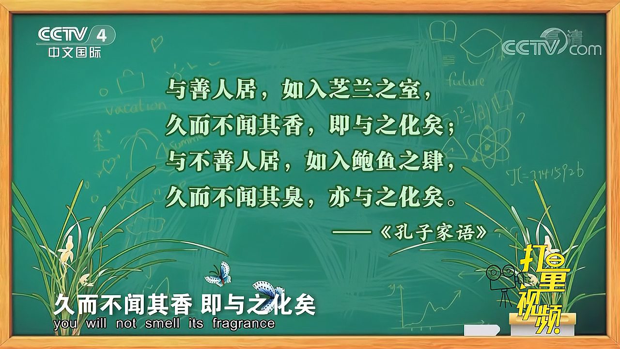 [图]自古以来人们把兰花视为高洁、典雅和坚贞不屈的象征|快乐汉语