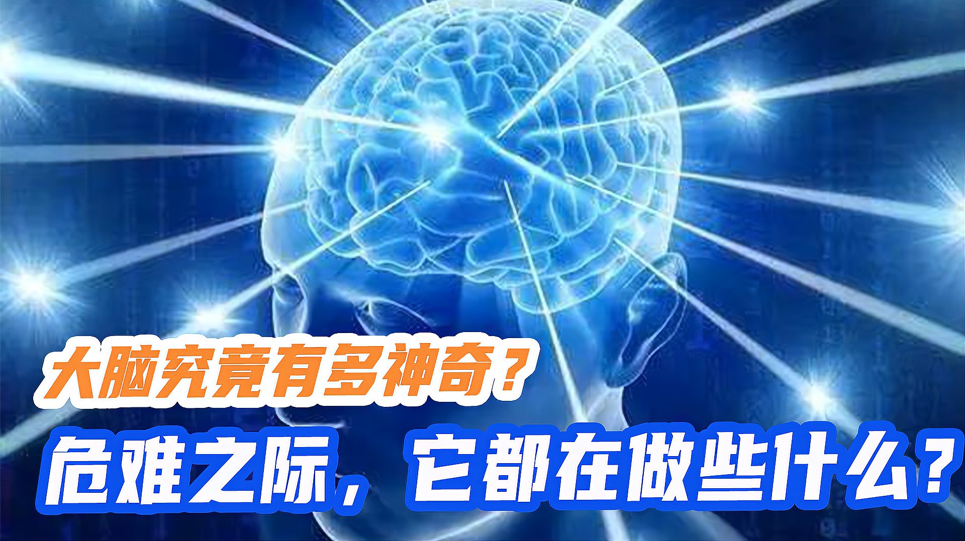 [图]大脑究竟有多神奇？危难之际，它都在做些什么？