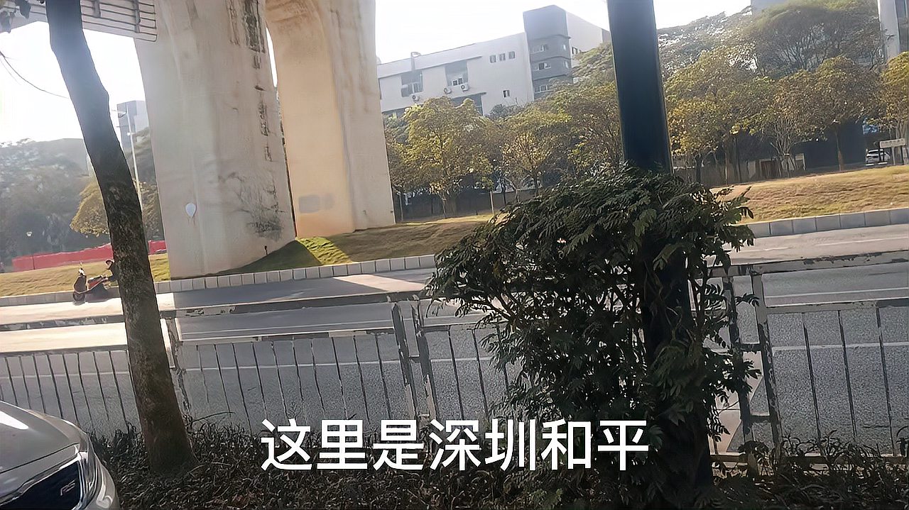 [图]回到梦开始的地方