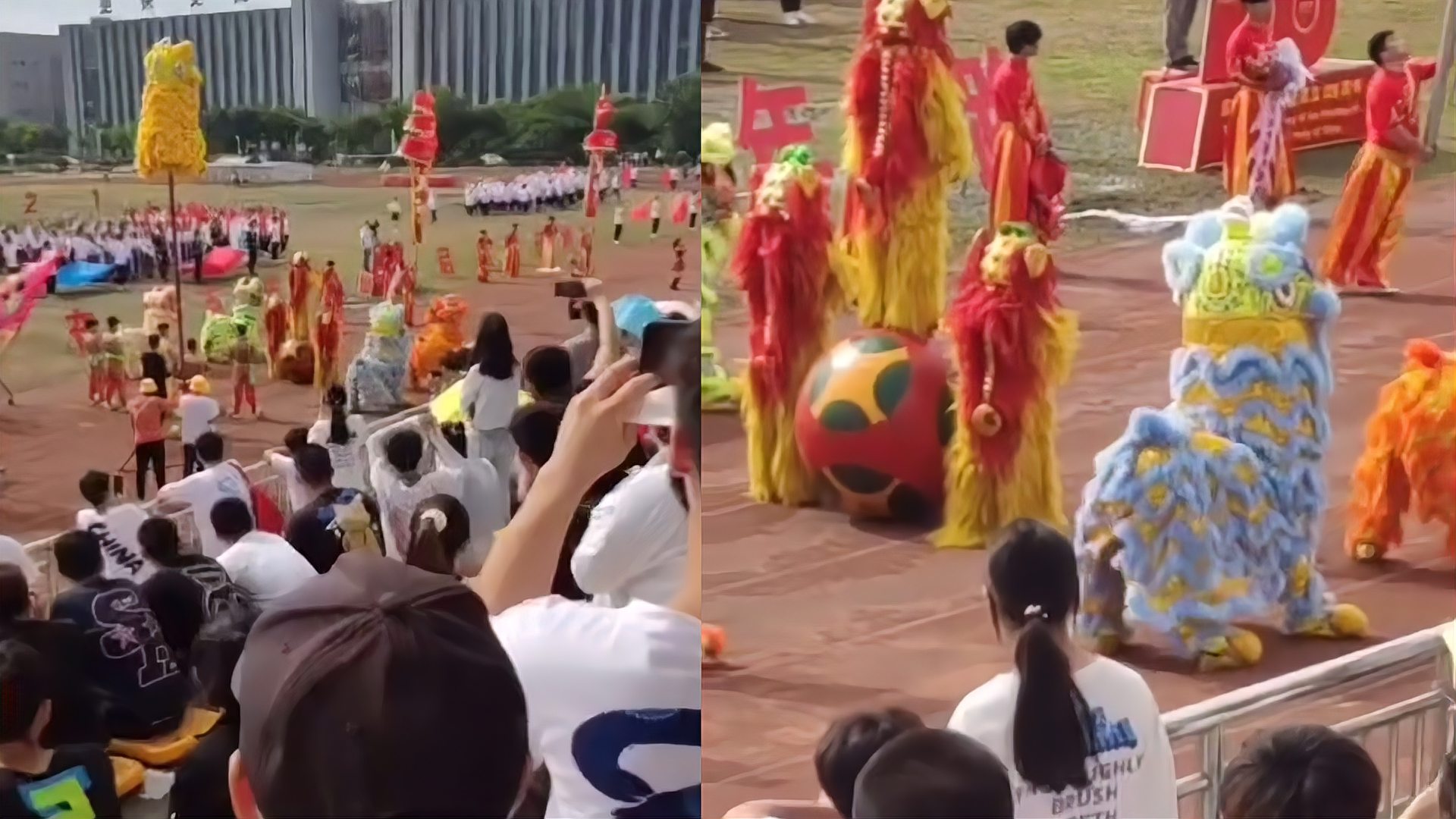 [图]传统舞狮俏皮可爱!运动会舞狮表演结束后,小狮子高兴地扭起屁股