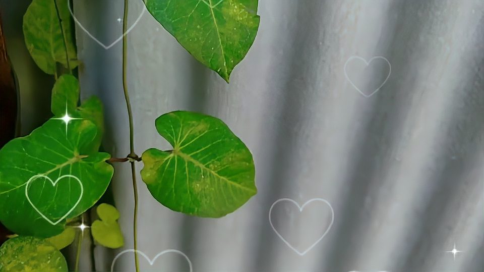 [图]古诗词:唐寅的《一剪梅雨打梨花深闭门》