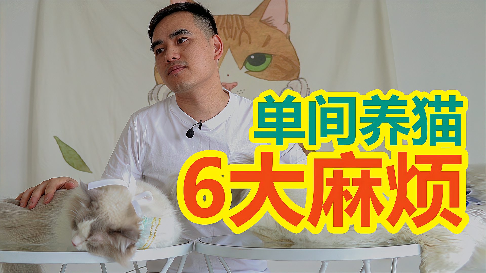 [图]又来得罪人咯 单间真的别折腾了 别养猫吧 【甜叔养猫劝退第7关】