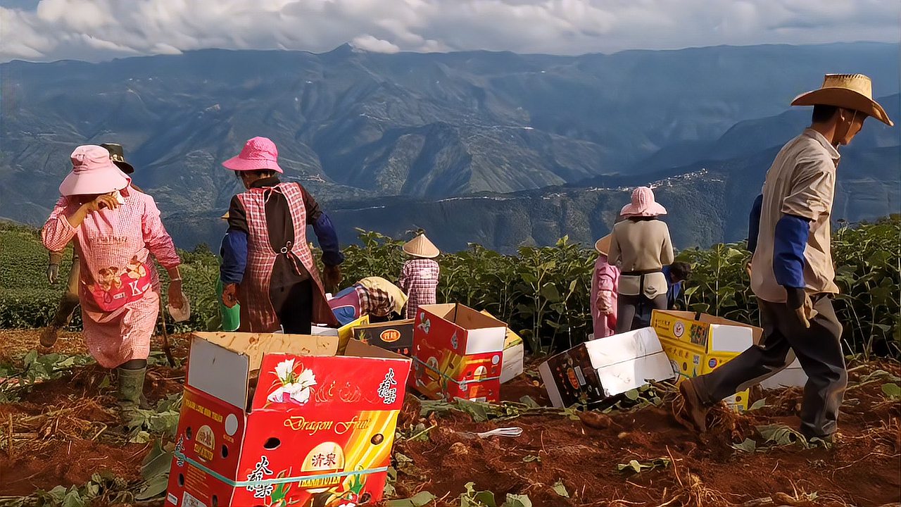 [图]云南大山里面的劳作,有的人一辈子走不出大山,唯一的希望是孩子