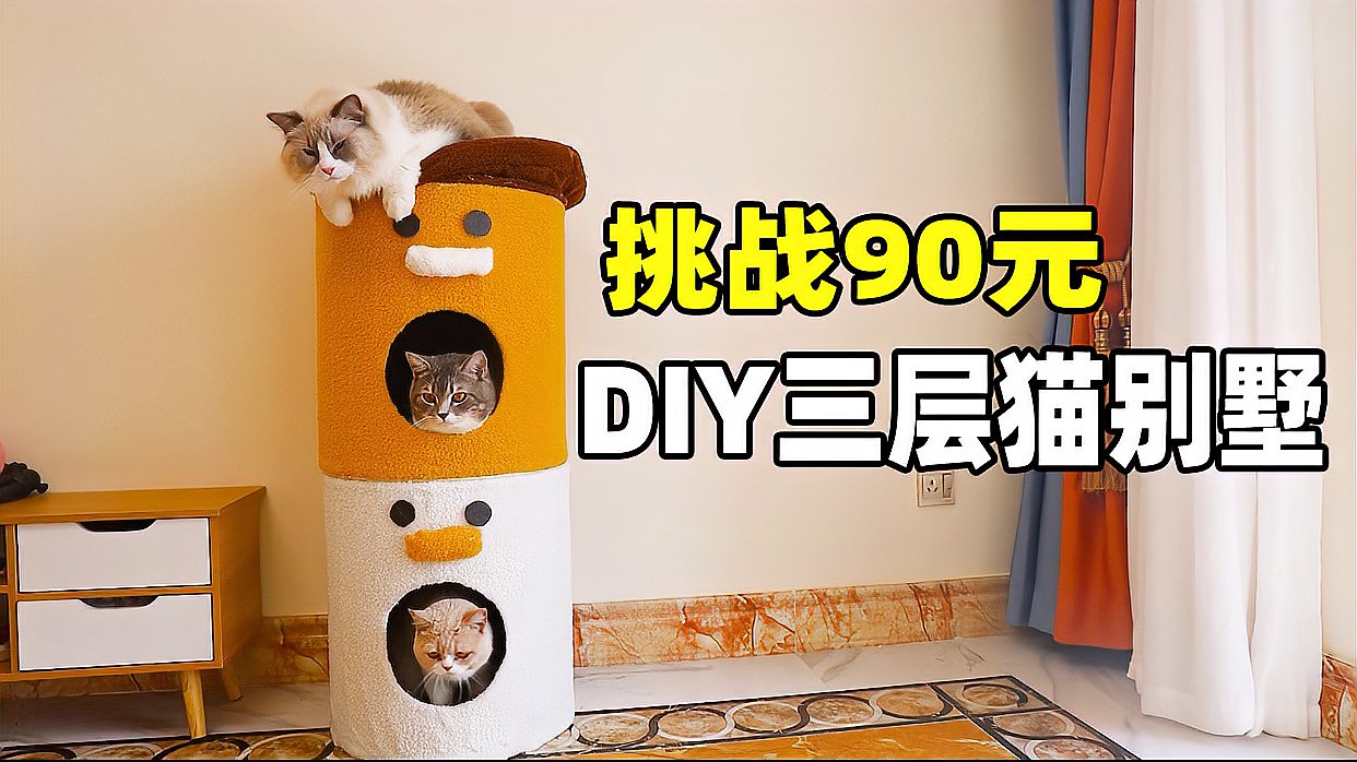 [图]90元DIY三层猫别墅，有比这猫别墅颜更可爱的吗？猫：喜欢