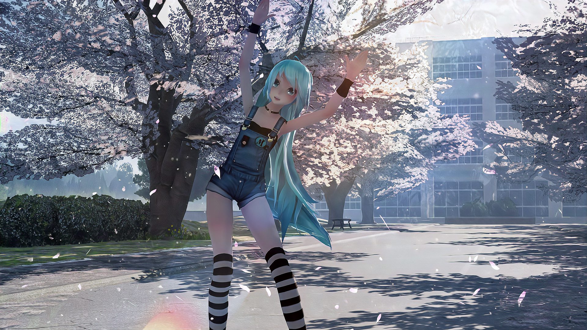 [图]MMD初音未来歌姬计划,樱之雨,教室窗外缤纷的樱花