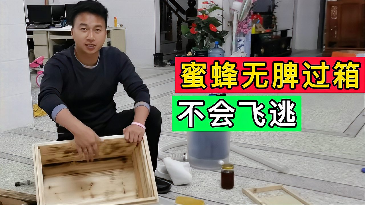 [图]蜜蜂过箱就飞逃!非常详细的操作教学让你无脾过箱避免蜜蜂飞逃