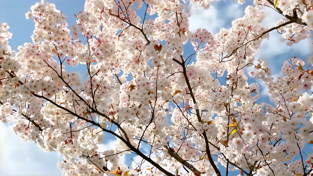 [图]好书分享 生命的重建（第一章 第一节）