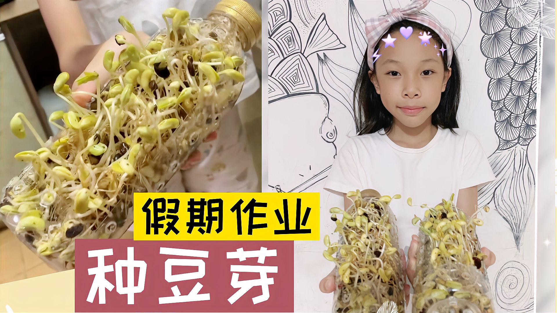 [图]孩子的国庆假期作业,小学生种豆芽,全程记录5天的成长观察日记