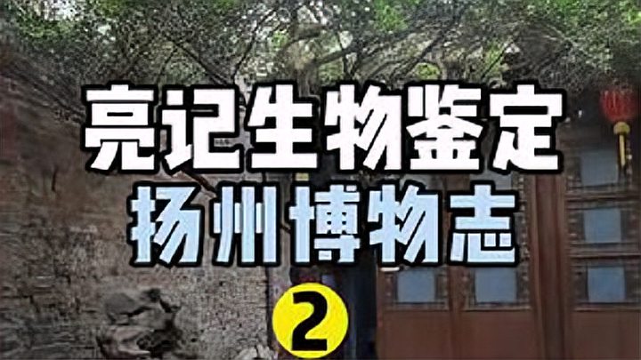 [图]145岁的木绣球隋炀帝想看的琼花,为什么都在种石楠之扬州博物志