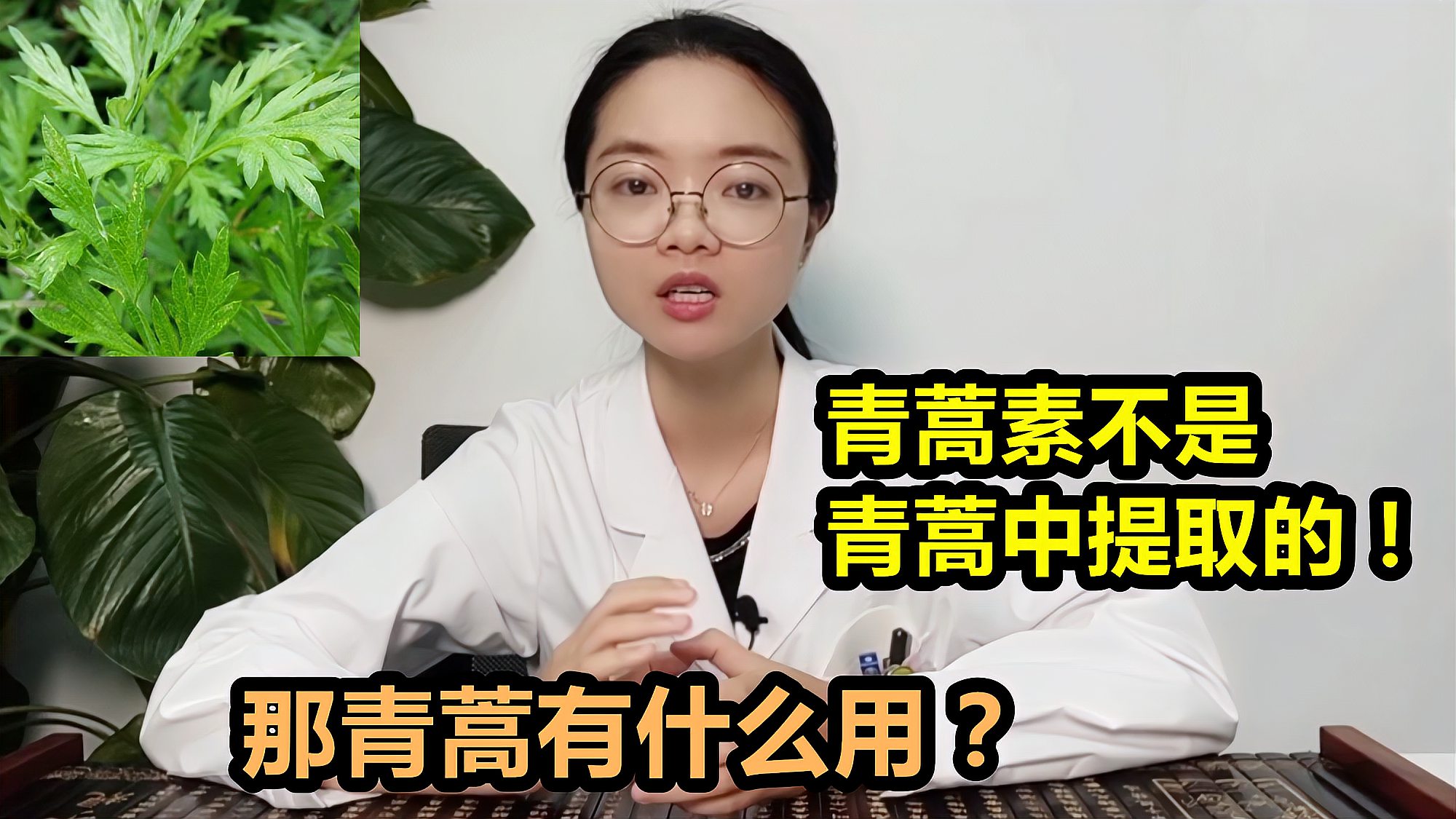 [图]治好了疟疾的青蒿素，竟不是青蒿提取的！那青蒿到底有什么用？