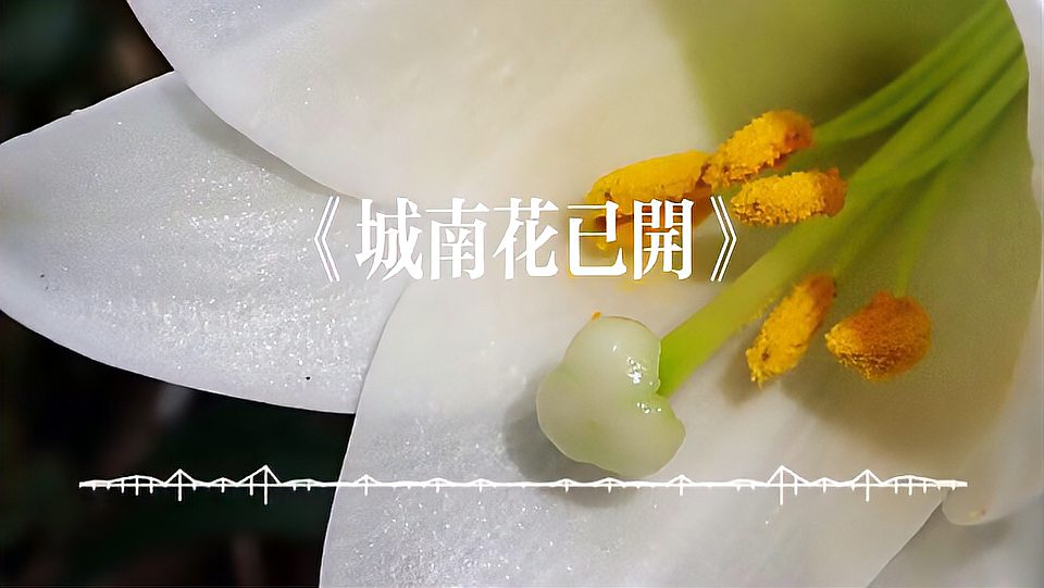 [图]纯音乐《城南花已开》净化心灵