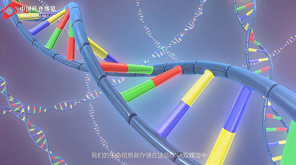 [图]CRISPR/Cas9被称作“基因魔剪”，这么厉害的技术是如何操作的？