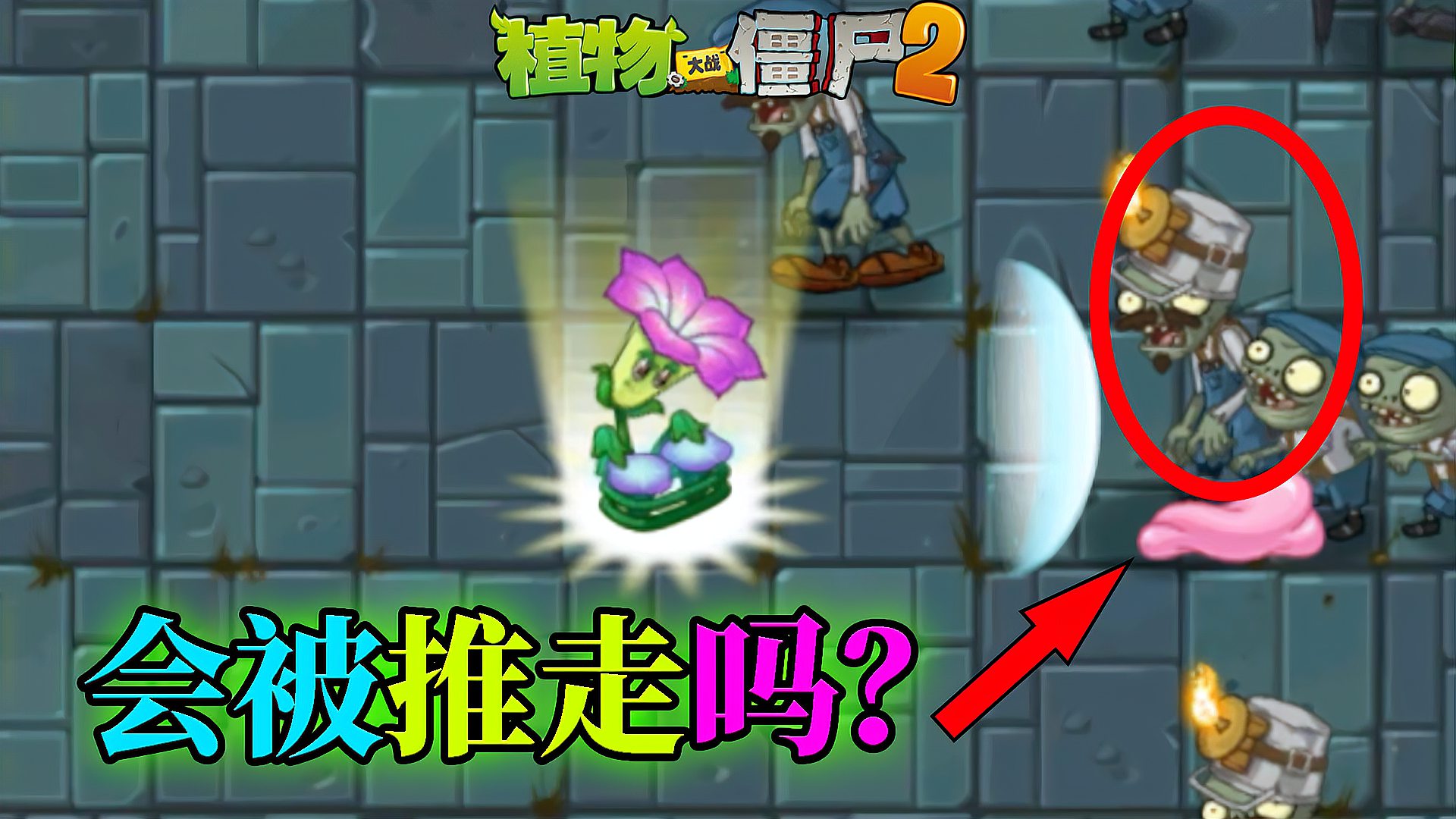 [图]Pvz2流言终结者 渔夫僵尸出场会顶掉无敌树根吗?