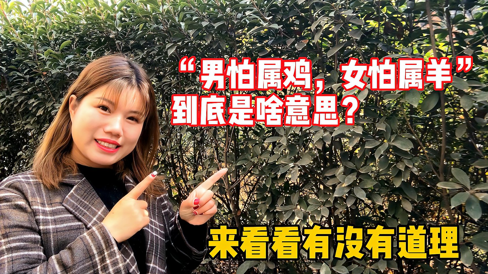 [图]农村老人常说“男怕属鸡,女怕属羊”到底怕什么?姑娘说出这两样