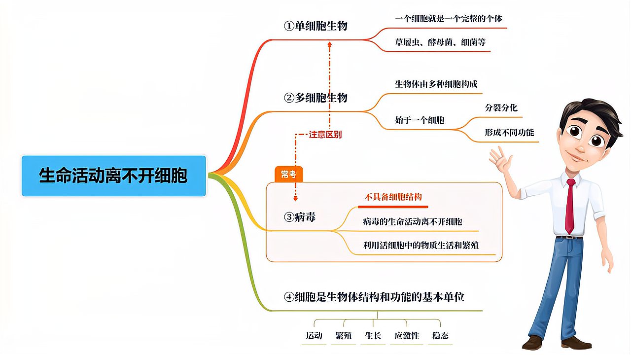 [图]高中生物知识点—生命活动离不开细胞