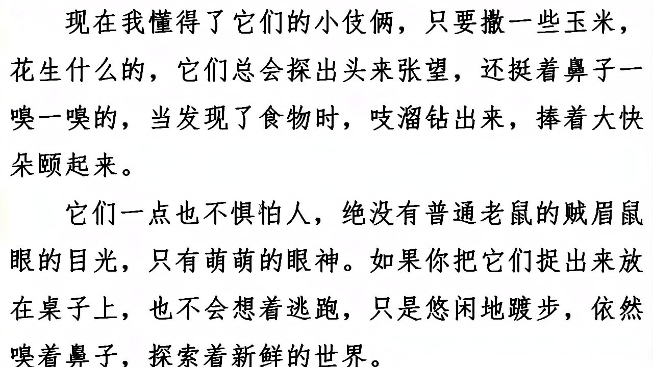 [图]四年级四单元习作,我的动物朋友,小仓鼠范文欣赏