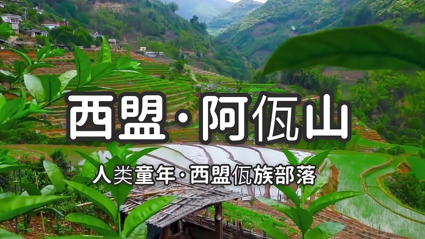 [图]云南神秘西盟阿佤山,人类童年佤族部落,观日出赏云海的绝佳之地