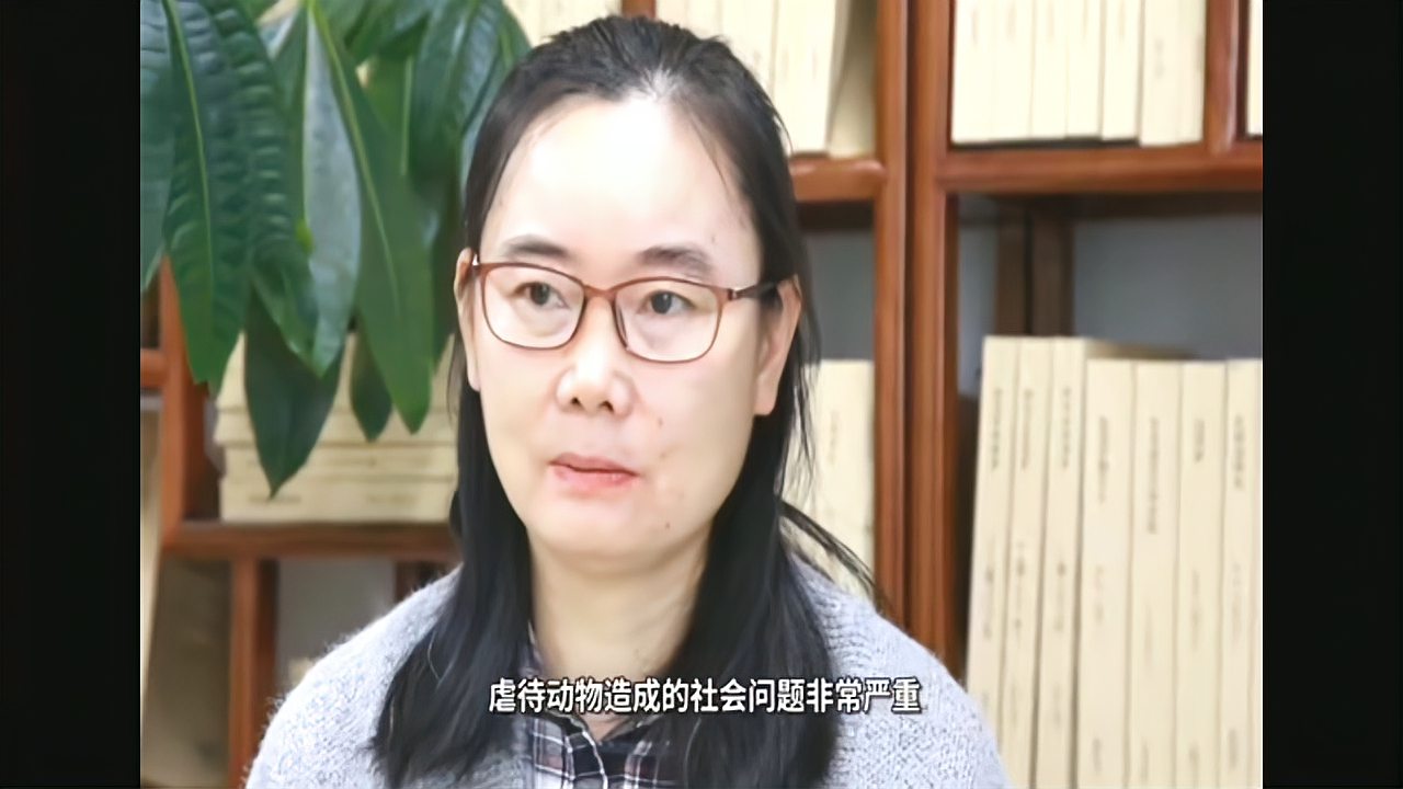 [图]虐待动物后果严重,呼唤《伴侣动物保护和管理法》出台