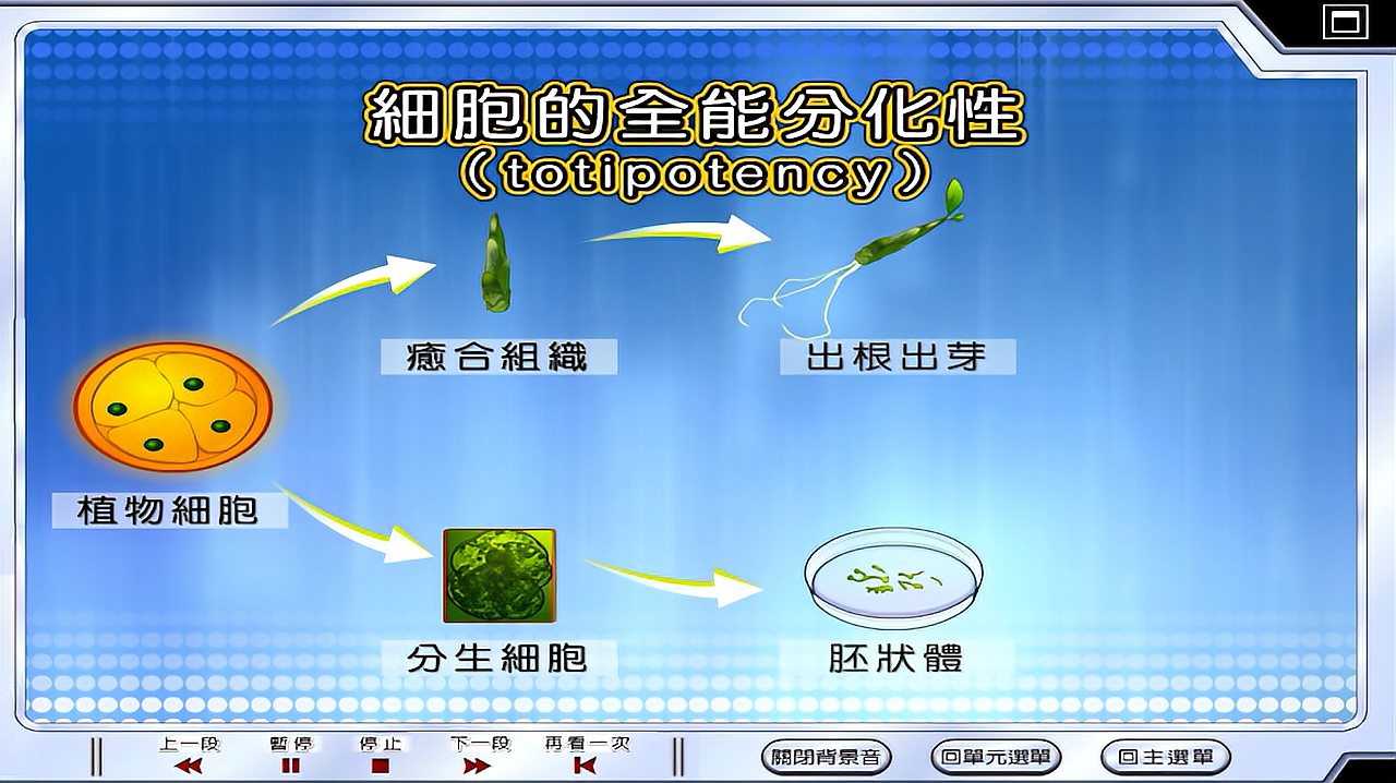 [图]生物——植物的组织培养