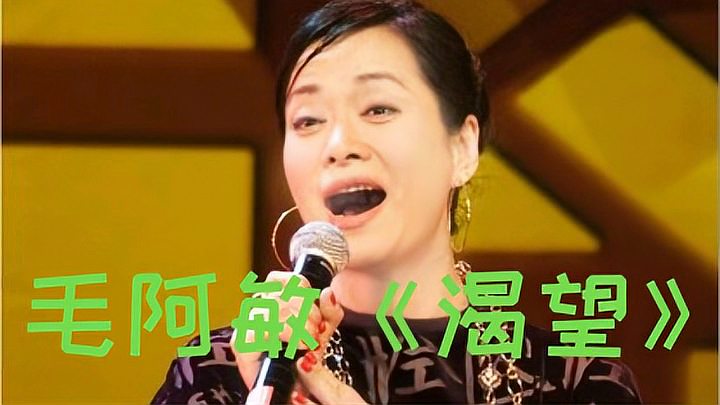 [图]重温经典《渴望》毛阿敏演唱