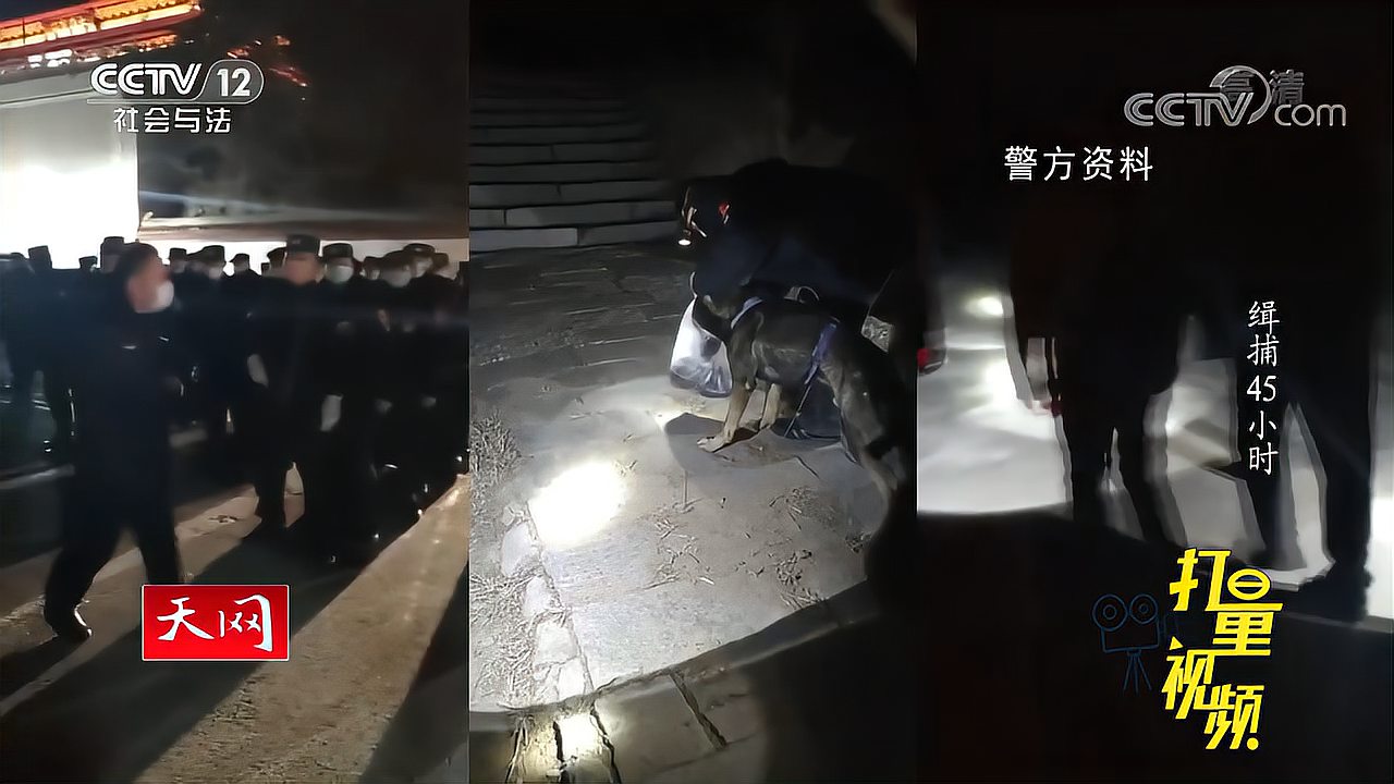 [图]命案嫌疑人逃到山上，为寻找他，150名警察展开搜山|缉捕45小时3