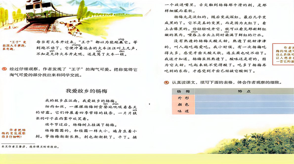 [图]三年级语文上册《我爱故乡的杨梅》,从不同方面观察事物