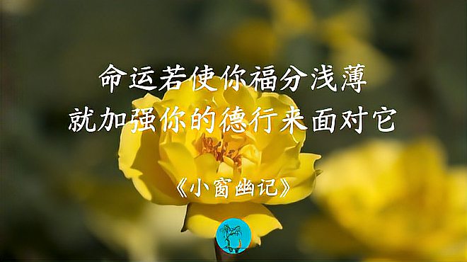 [图]学习修身养性,可读《小窗幽记》这6条智慧,常读常新