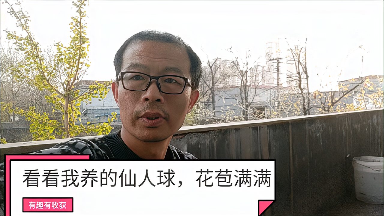 [图]我的仙人球沐浴阳光,花苞满满!花开富贵,美丽娇艳!