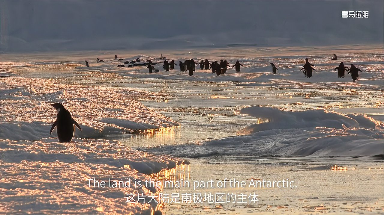 [图]国家地理经典纪录片:小探险家(知识科普+口语)15