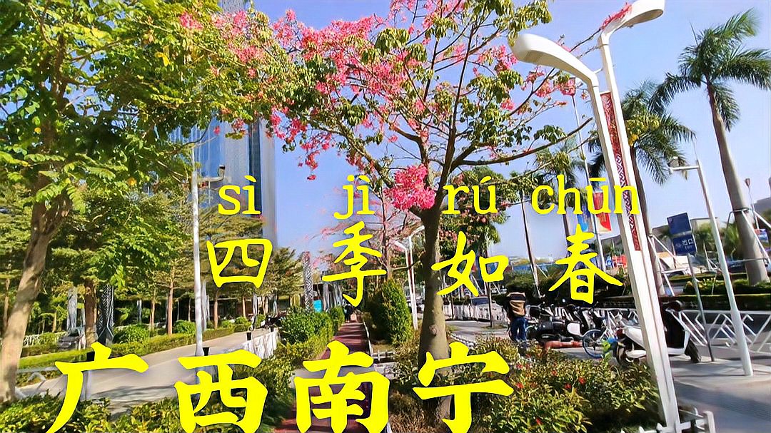 [图]广西南宁四季如春,晴空万里鸟语花香,这日子太美了