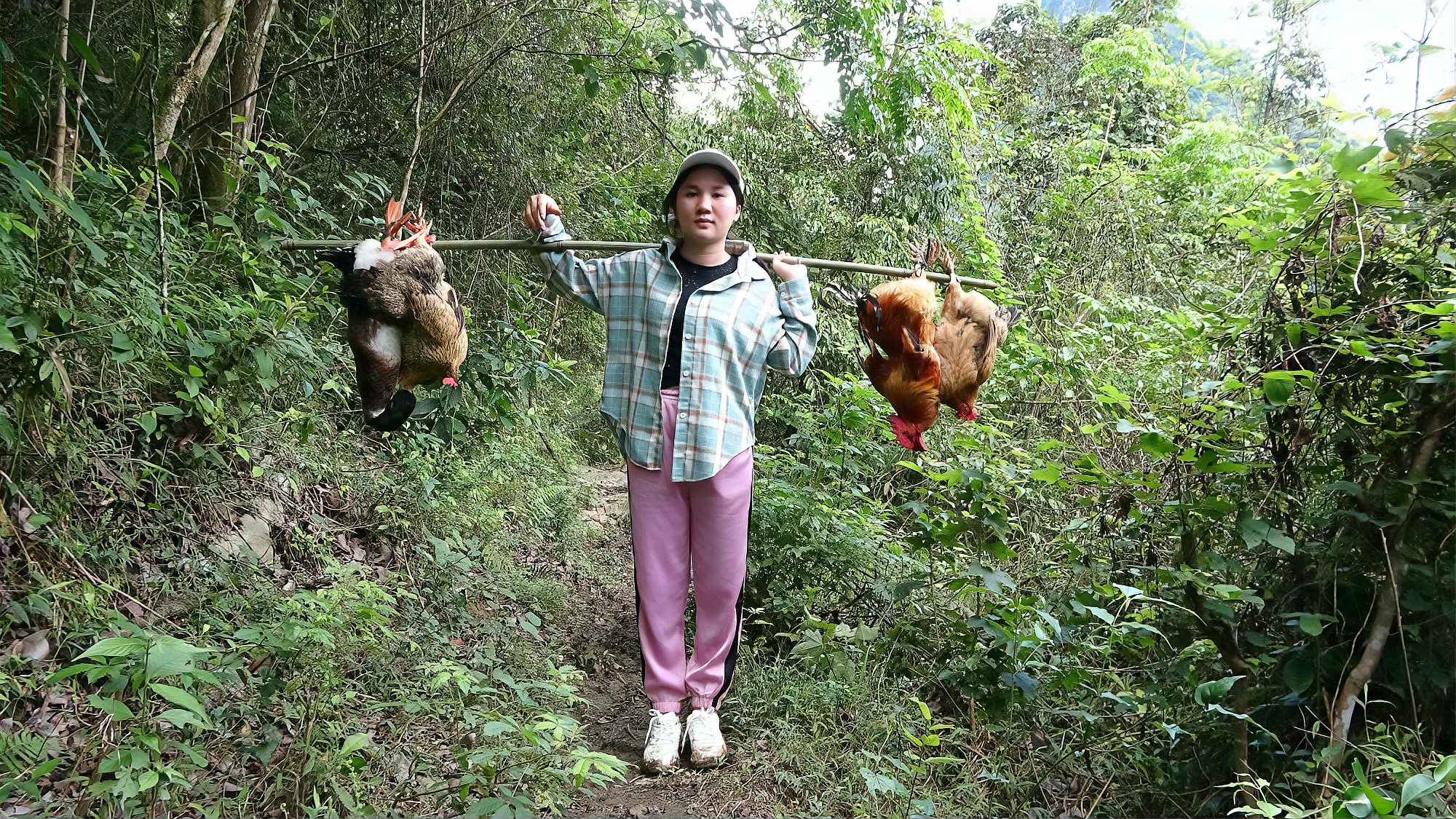 [图]美女进山收购土鸡，380块买了4只15斤，这价格能买到真划算