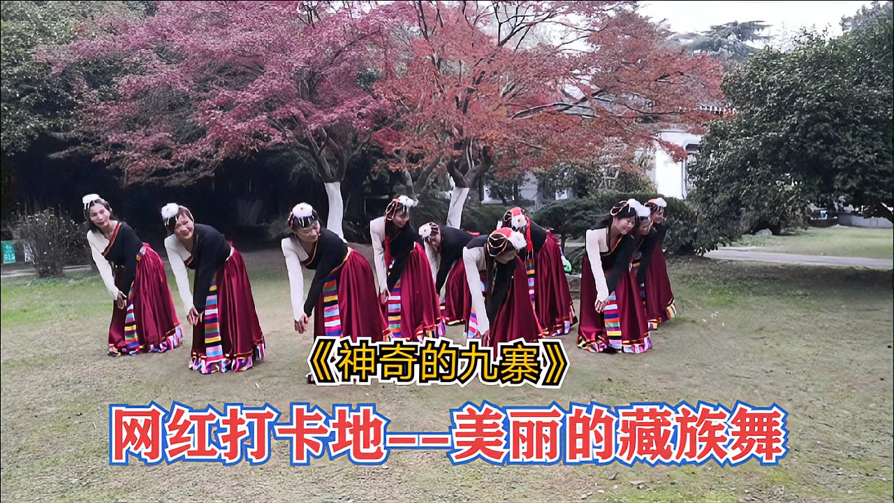 《神奇的九寨》,在网红打卡地--枫树大草坪,姐姐们激情演绎。