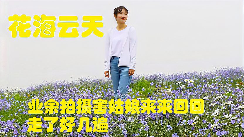 [图]女孩儿很美很纯洁,花海云天很漂亮,搭配业余拍摄会怎样?