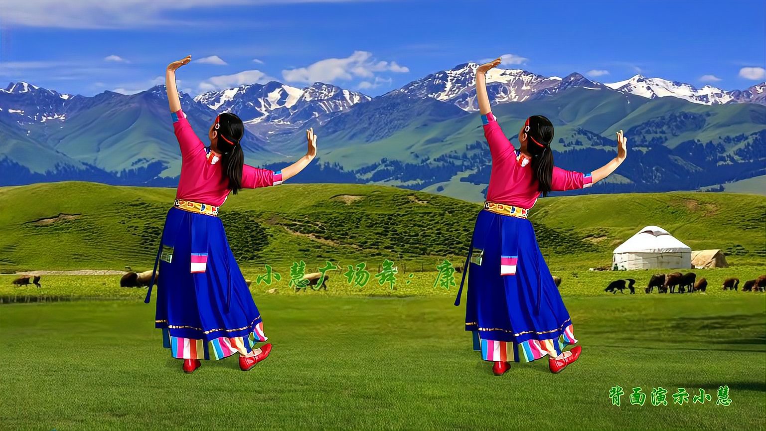 藏族舞热榜精选《康巴情》欢快大气可火了，背面演示