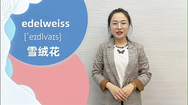 [图]edelweiss什么意思